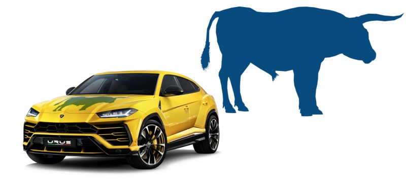 Five Popular Cars In India With Animal Names - Pictures & Details