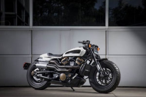 Harley Davidson Custom Motorcycle (1)