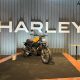 Harley Davidson Variant