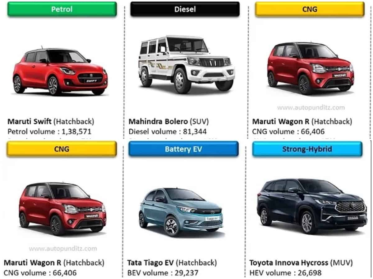 Car Sales Fuel Type